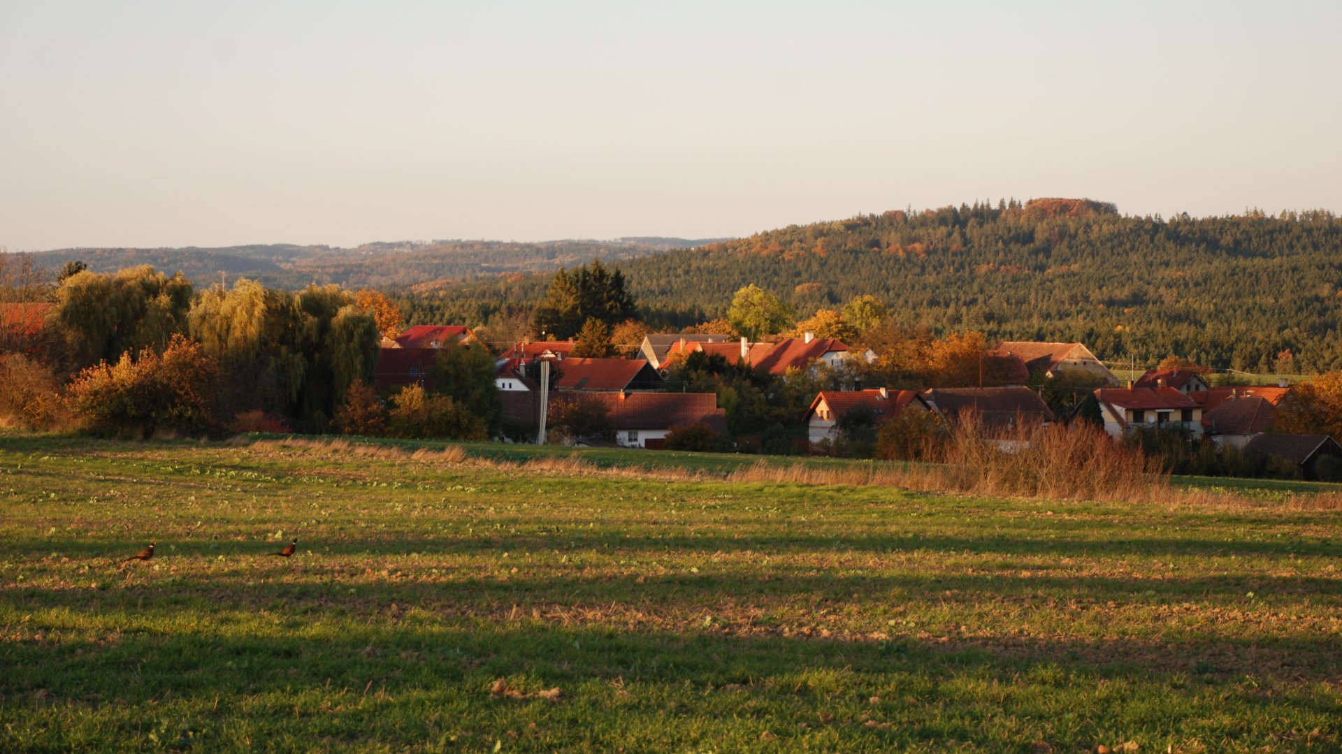 Měnič obrázků - fotografie